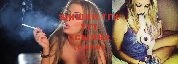 прущие крисы Аркадак