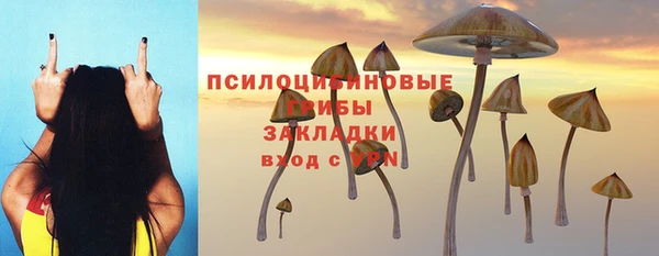 mdpv Армянск