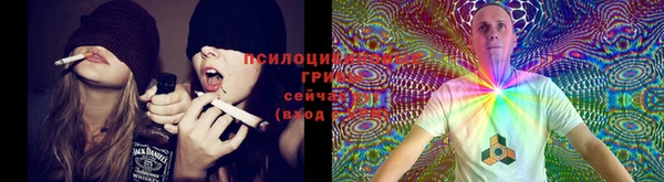 прущие крисы Аркадак