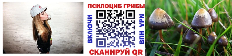 Галлюциногенные грибы Cubensis Сурск